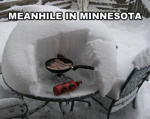 Minnesotan