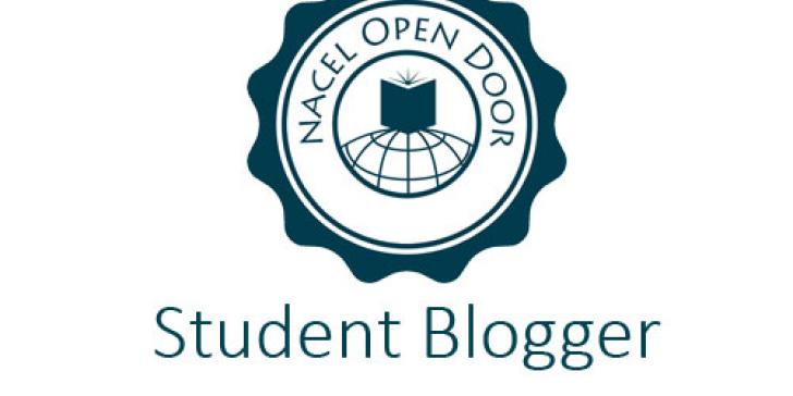 Student blogger