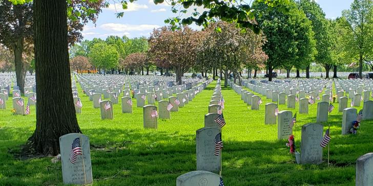 Flags at Fort Snelling National Cemetary in Minnesota